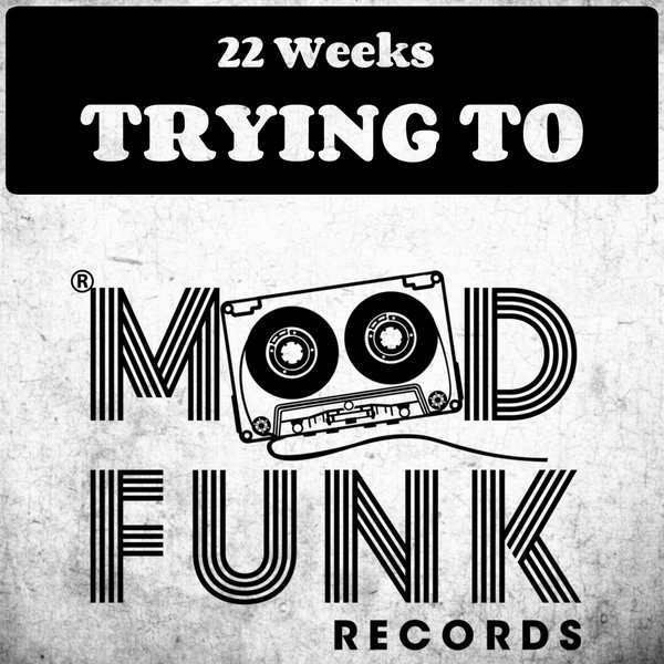 22 Weeks - Trying To / Mood Funk Records