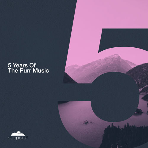VA - 5 Years of the Purr Music / The Purr