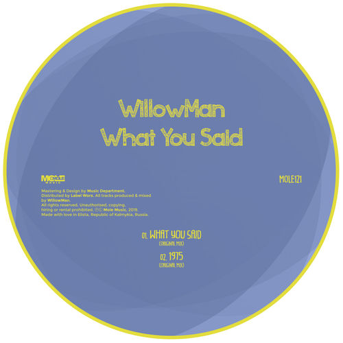 WillowMan - What You Said / Mole Music