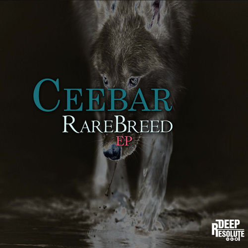 Ceebar - RareBreed EP / Deep Resolute (PTY) LTD