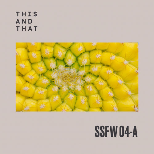 VA - SSFW #4A / This And That