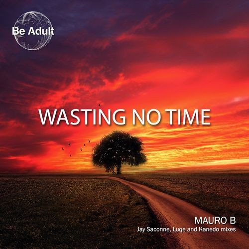 Mauro B - Wasting No Time / Be Adult Music