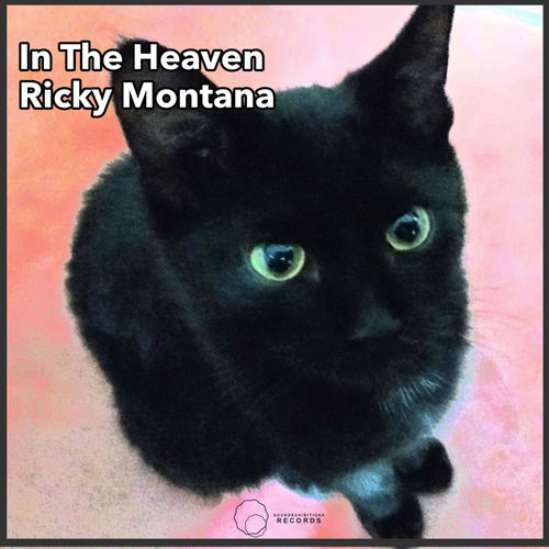 Ricky Montana - In The Heaven / Sound-Exhibitions-Records