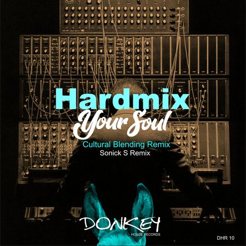 Hardmix - Your Soul / Donkey House Records