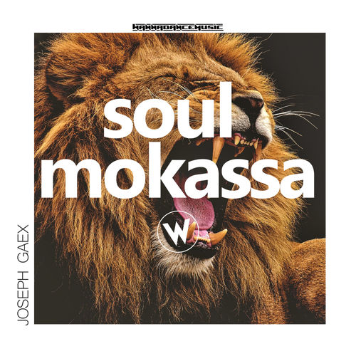 Joseph Gaex - Soul Mokassa / Wanna Dance Music