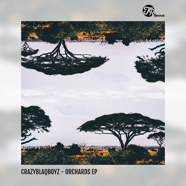 CrazyBlaqBoyz - Orchards EP / TR Records