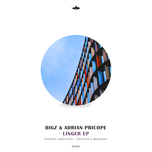 Big Al & Adrian Pricope - Linger EP / Submarine Vibes