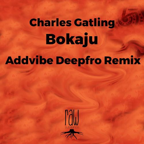 Charles Gatling - Bokaju (Addvibe Deepfro Remix) / Raw Substance