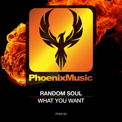 Random Soul - What You Want / Phoenix Music