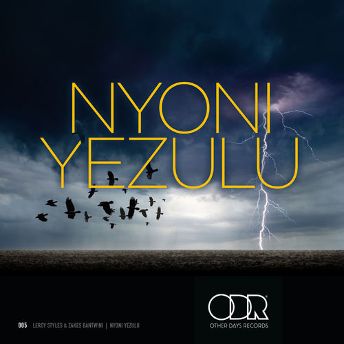 Leroy Styles & Zakes Bantwini - Nyoni Yezulu / Other Days Records