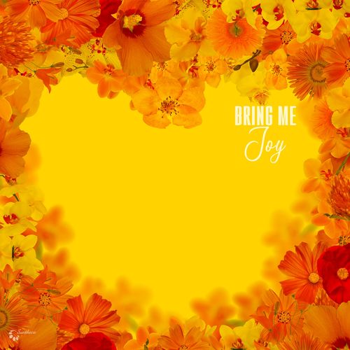 VA - Bring Me Joy / Suntheca Music