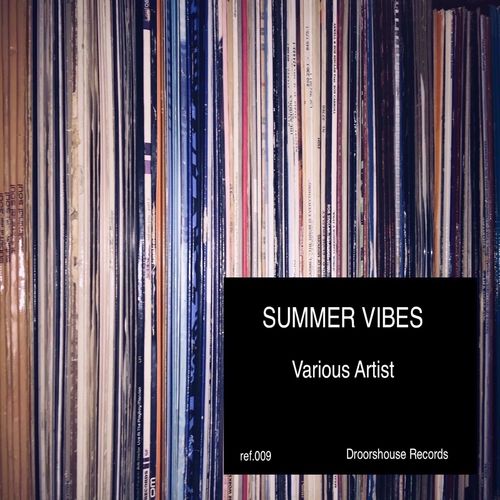 VA - SUMMER VIBES / droorshouse records