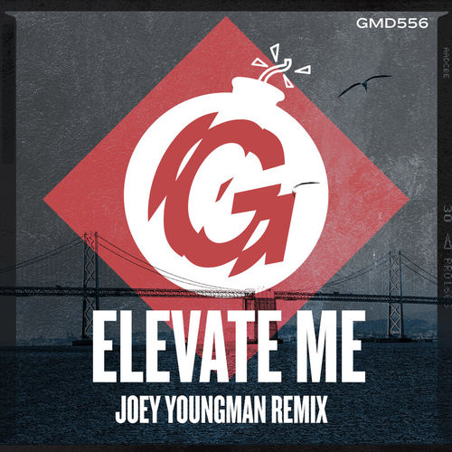 Bobby D'Ambrosio - Elevate Me (Joey Youngman Remix) / Guesthouse Music
