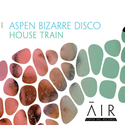 aspen bizarre disco - House Train / Aspen Inc Records