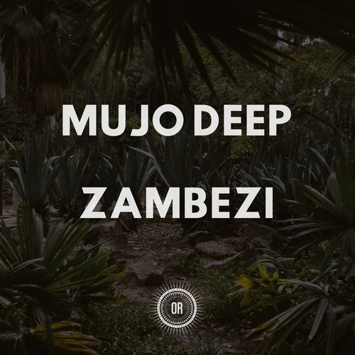 Mujo Deep - Zambezi / Offering Recordings