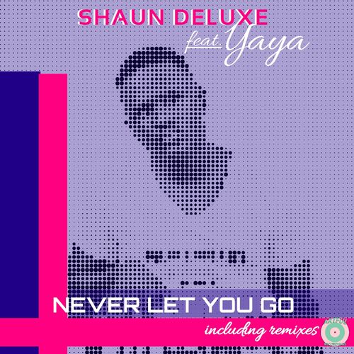 Shau Deluxe - Never Let You Go / Artful Recordings