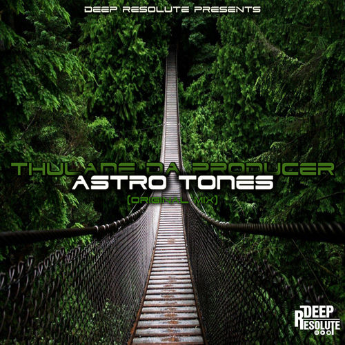 Thulane Da Producer - Astro Tones / Deep Resolute (PTY) LTD
