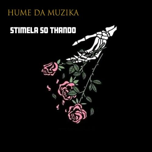 Hume Da Muzika - Stimela So Thando / CD RUN