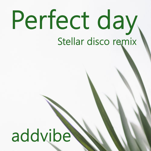 Addvibe - Perfect Day / Vier Deep Digital