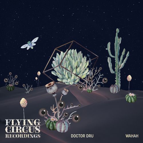 Doctor Dru - Wahah EP / Flying Circus Recordings