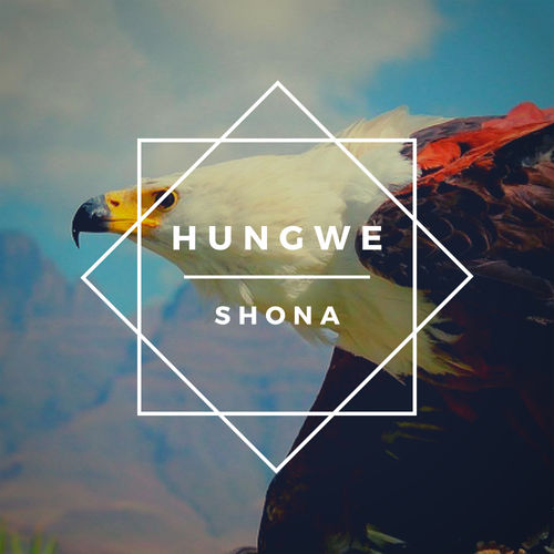 Shona (SA) - Hungwe / Stentfire Music