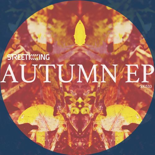 VA - Street King Autumn EP / Street King