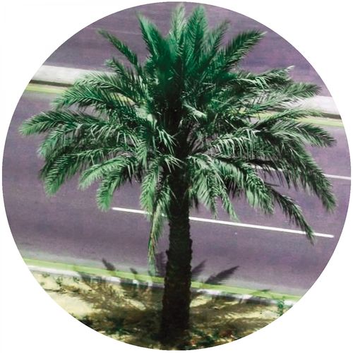 Harrison BDP - Watching The World Go By / Lost Palms