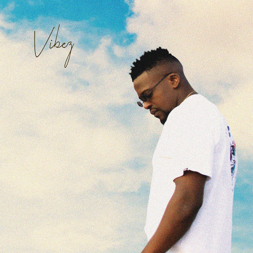 DJ Mshega - Vibez / Born in Soweto