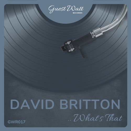David Britton - What's That! / Guest Watt Records