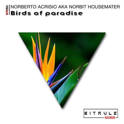 Norberto Acrisio aka Norbit Housemaster - Birds of Paradise / Bit Rule Records