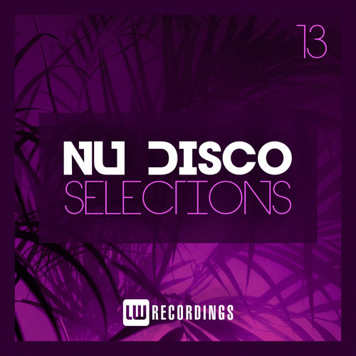 VA - Nu-Disco Selections, Vol. 13 / LW Recordings