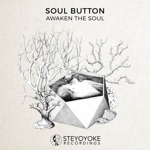 Soul Button feat. Photographs. - Awaken The Soul / Steyoyoke