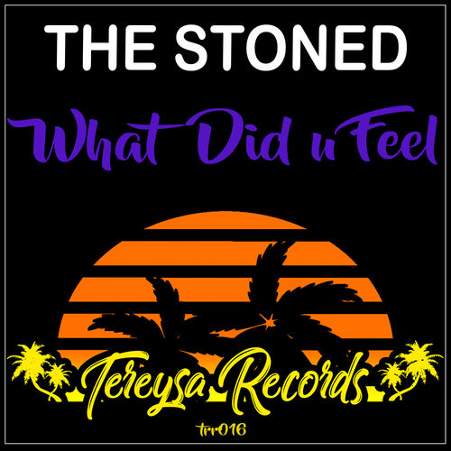 The Stoned - What Did U Feel / Tereysa Records