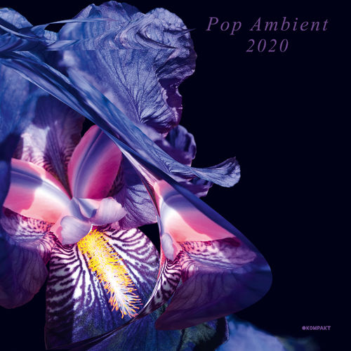 VA - Pop Ambient 2020 / Kompakt