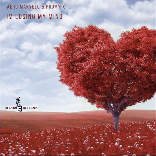 Aero Manyelo - Im Losing My Mind (Re-Master) / Herbal 3 Distribution