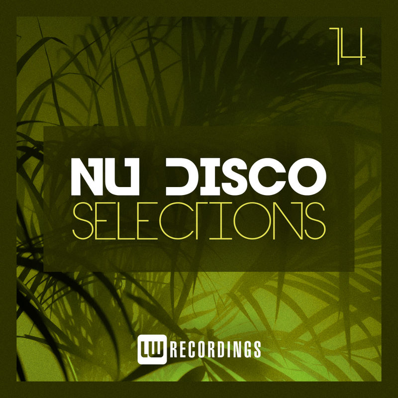 VA - Nu-Disco Selections, Vol. 14 / LW Recordings