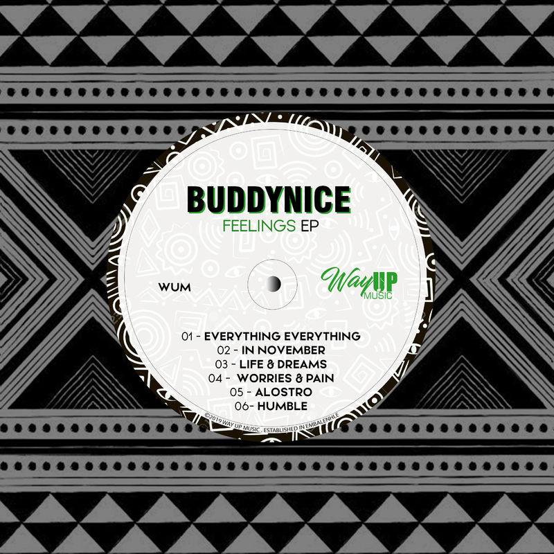 Buddynice - Feelings EP / Way Up Music