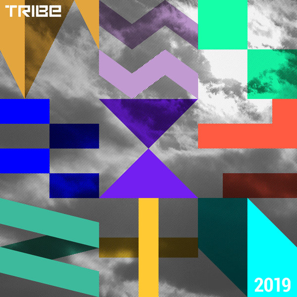 VA - Best of Tribe 2019 / Tribe Records
