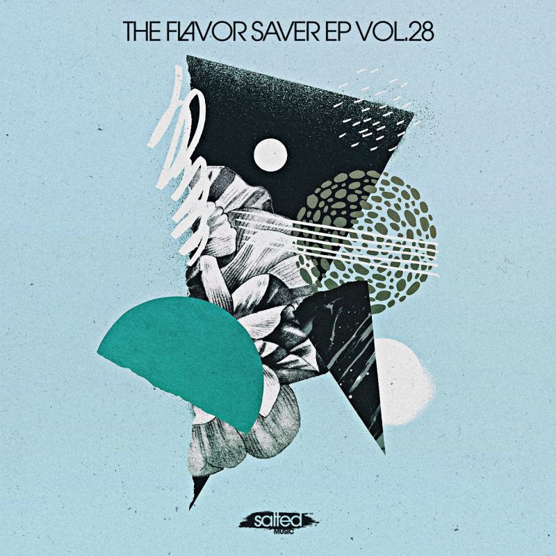 VA - The Flavor Saver Vol. 28 / Salted Music