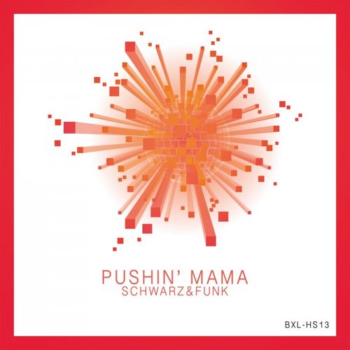 Schwarz & Funk - Pushin' Mama (Long Train Running) / Boxberglounge