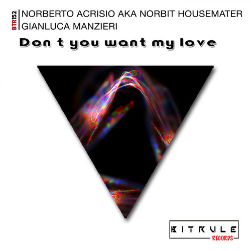 Norbit Housemaster - Don't You Want My Love / Bit Rule Records