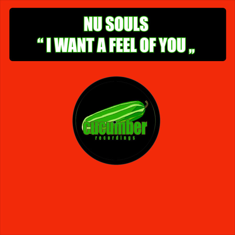 Nu Souls - I Want A Feel Of You / Cucumber Recordings