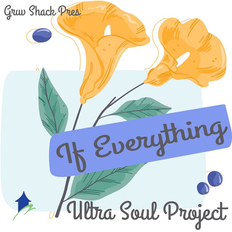 Ultra Soul Project - If Everything / Gruv Shack Digital