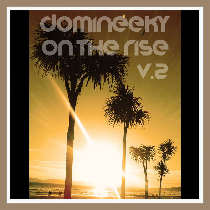Domineeky - On The Rise V.2 / Good Voodoo Music