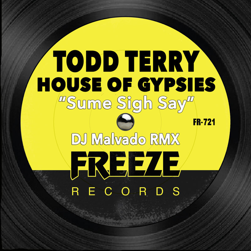 Todd Terry, House of Gypsies - Sume Sigh Say (DJ Malvado RMX) / Freeze Records