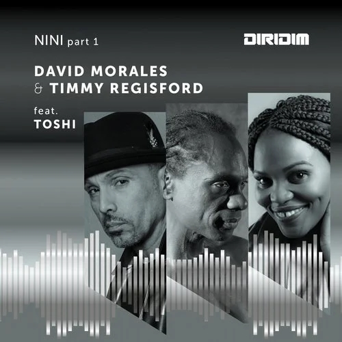 David Morales & Timmy Regisford ft Toshi - NINI Part 1 / DIRIDIM