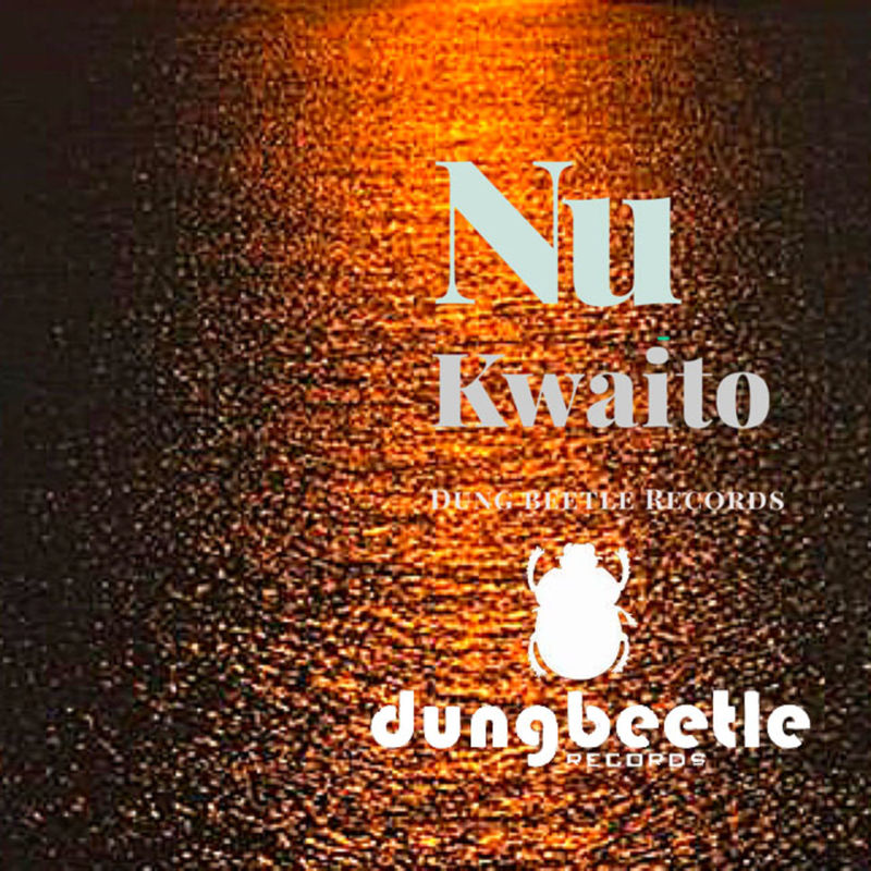 VA - Nu-Kwaito / Dung Beetle Records