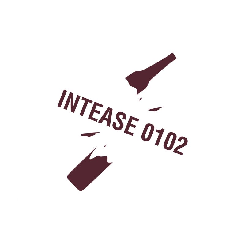 VA - Intease 0102 / Increase the Groove Records