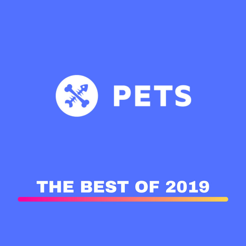 VA - THE BEST OF 2019 / Pets Recordings