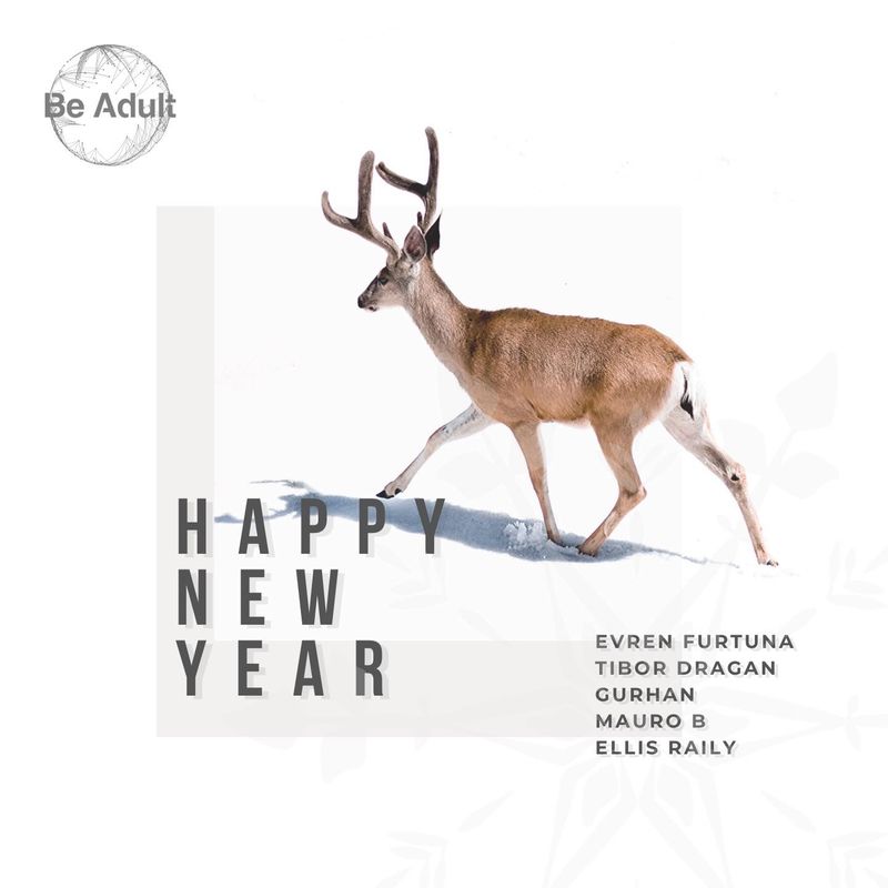 VA - Happy New Year / Be Adult Music